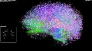 집중력, ADHD,도파민 – 집중력 부족의 진정한 의미