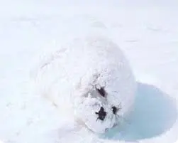 나는 누구인가..?